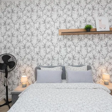 Komfort W Centrum Parking * Breslavia