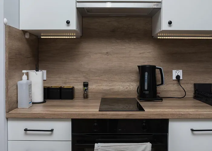 Komfort W Centrum Parking * Vratislav